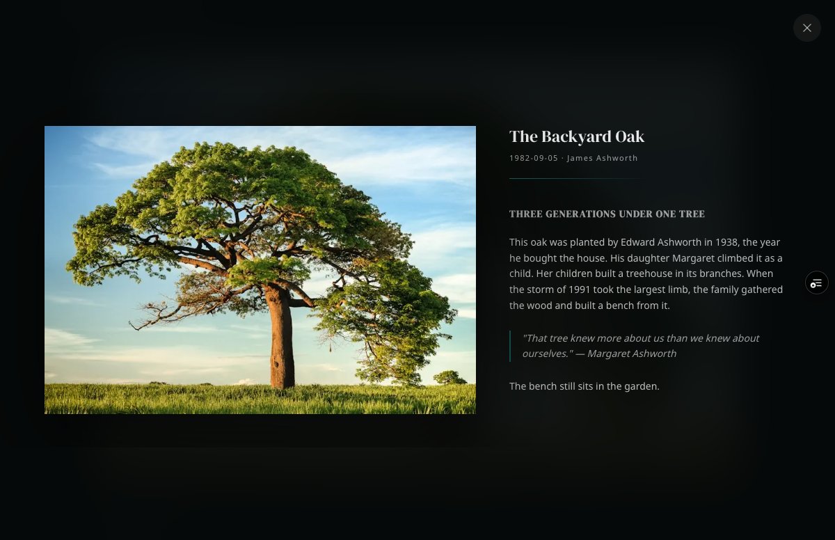 Single photo with story — split layout
